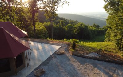 Tent Projects 2 Luxe and Wild – Tennessee